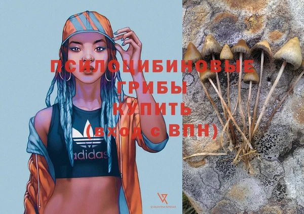 СК Алексеевка