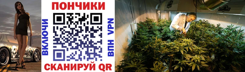 Канабис OG Kush Старая Купавна